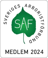 Medlem 2024 SAF logo