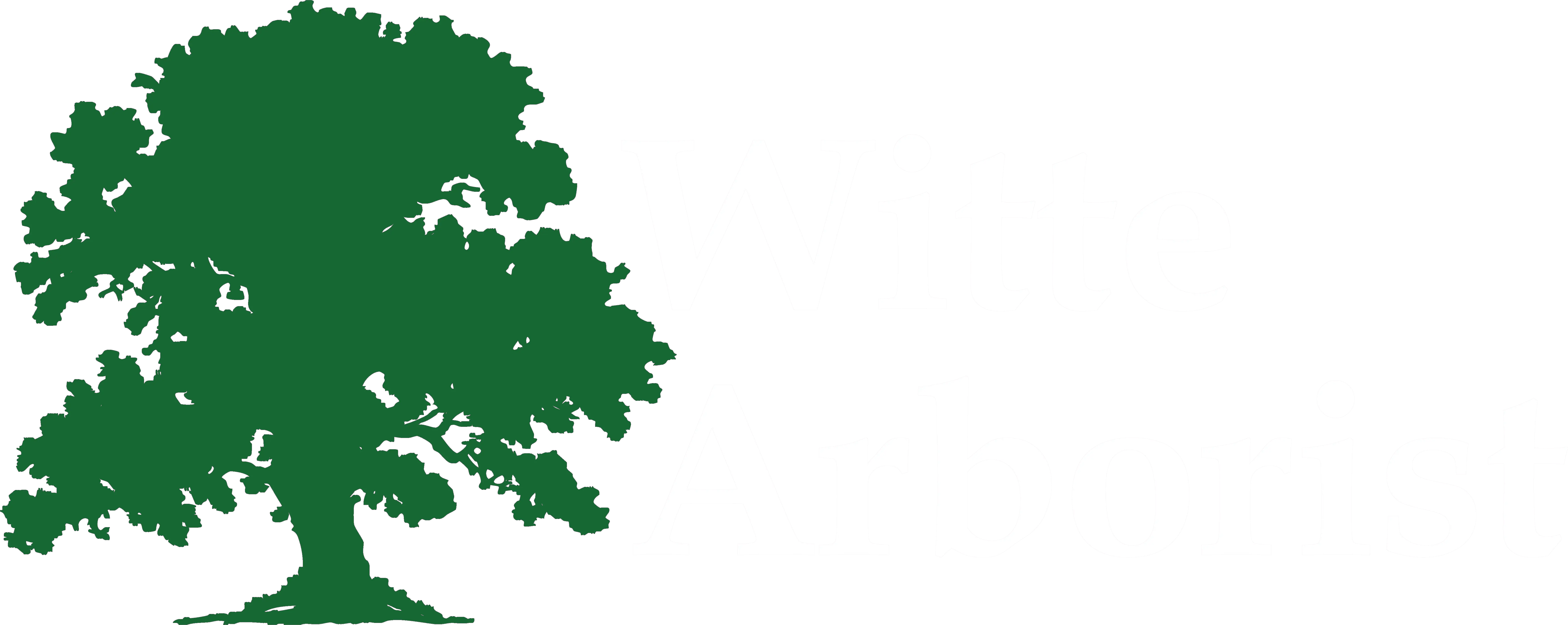 Logga för witte Arborist